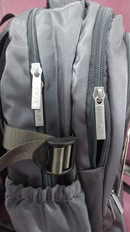 کوله پشتی تسلا